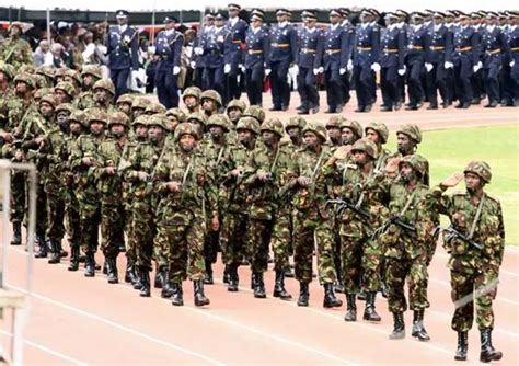 Kenya Kenyan Army defence force ranks military pattern camouflage combat field uniforms dress grades