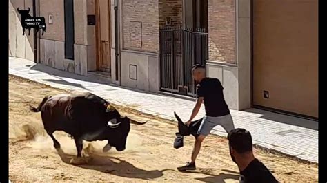 Festejos Taurinos En Alboraya Toro Cerril Gan Dom Nguez Camacho Pt