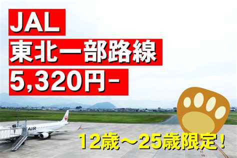 ＜終了済み＞【12歳～25歳】jal三沢・山形などスカイメイト特別価格！ 旅するおしゃべりくまさん