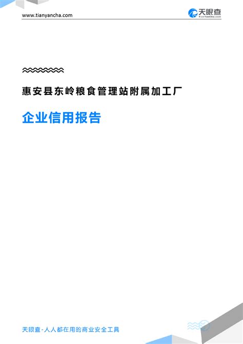 惠安县东岭粮食管理站附属加工厂企业信用报告 天眼查word文档在线阅读与下载免费文档