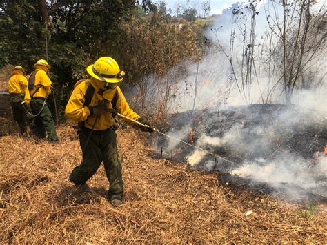 Incendios Forestales No Dan Tregua Y Arrasan Bosques En Cinco Departamentos