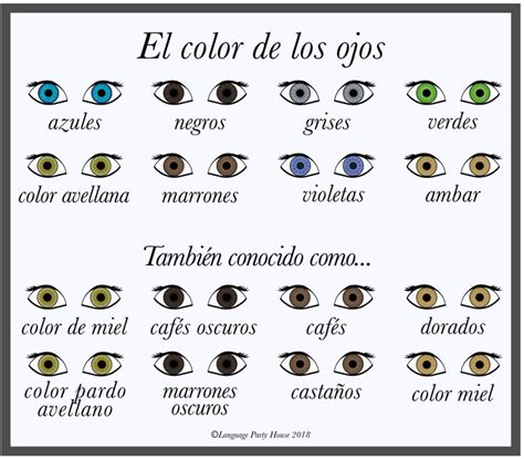 El Color De Los Ojos Spanish Notes Eye Color Color