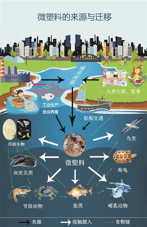 水环境中微塑料的污染现状、生物毒性及控制对策