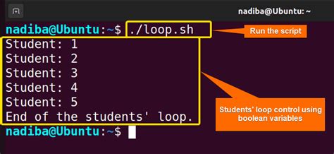 What Is Boolean Variable In Bash [3 Cases With Examples]