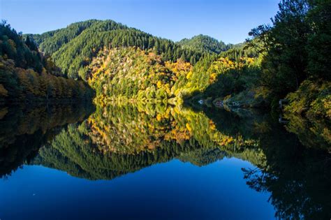 umpqua    places  visit tripadvisor