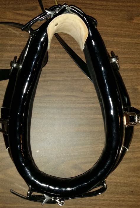 Pleasure Harness - Collar & Hames - Draft Horse - Pictures coming ...