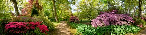 Exbury Gardens Steam Railways Collection Panorama Art