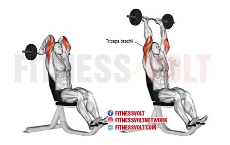 How To Do Overhead Ez Bar Tricep Extension Triceps Healthtasy