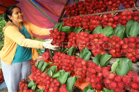 Rambutan Binjai Antara Foto