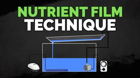 Nutrient Film Technique Nft Hydroponics System Tutorial Youtube