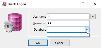 PL SQL Developer Initialization Error Oracle Client Not Properly