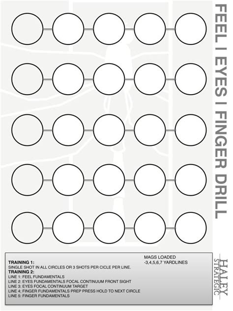 LASR Store Haley Strategic Targets Target Template Request Fai Da Te