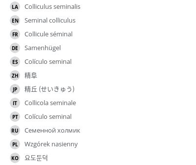 Seminal colliculus - e-Anatomy - IMAIOS