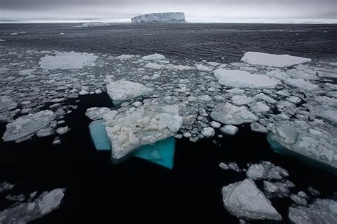 Snow Hill, Antarctica – November 2009 – Wildencounters