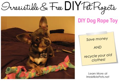 Irresistible and Free DIY Pet Projects: DIY Dog Rope Toy - Irresistible ...