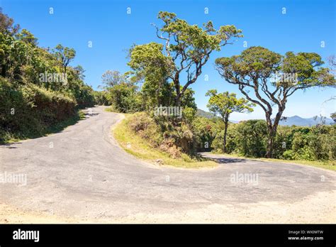 Bosque Seco Tropical Y Bosque Monzónico En El Camino Hacia Las