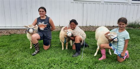 Cornell Cooperative Extension 4 H Sheep