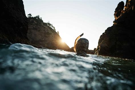 Protecting Oregons Enchanting Kelp Forests 1859 Oregon S Magazine