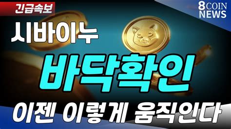 시바이누 긴급속보 바닥확인 이젠 이렇게 움직인다 Youtube