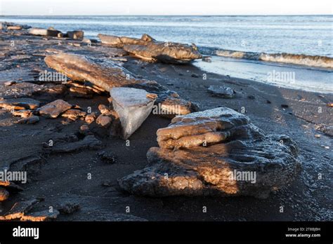 Baltic Sea Coastal Landscape With Melting Ice Laying On The Coast