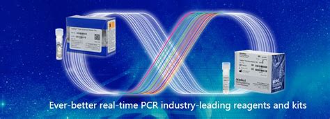 Master Mix Pour Pcr En Temps Réel Sybr® Green Thermo Fisher