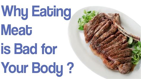 Why Eating Meat Is Bad For Your Body 2 Humans Did Not Always Eat Meat