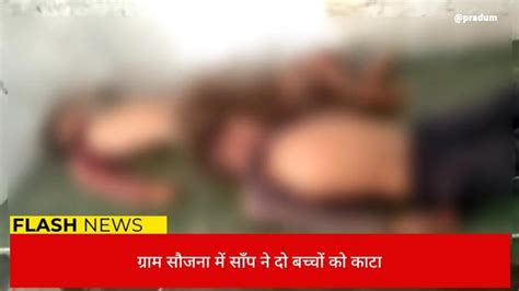 ललितपुर सर्प दंश से दो बच्चों की हुई मौत घर में कोहराम Video