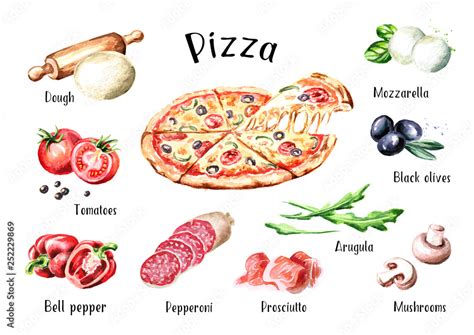 Italian Pizza. Ingredients. Watercolor hand drawn illustration ...