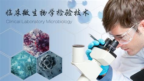 临床微生物学检验技术