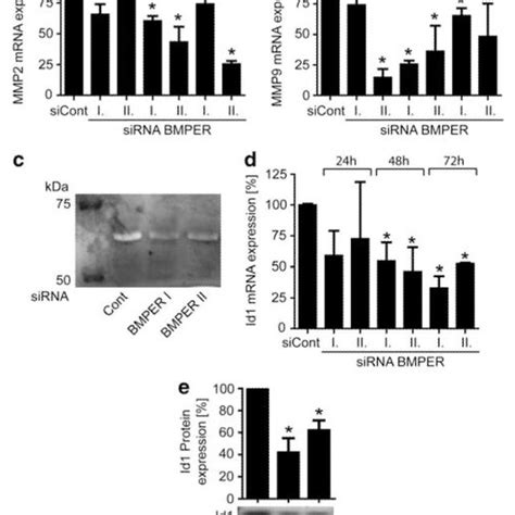 BMPER Expression And Localization In Tumor Cells A Expression Of