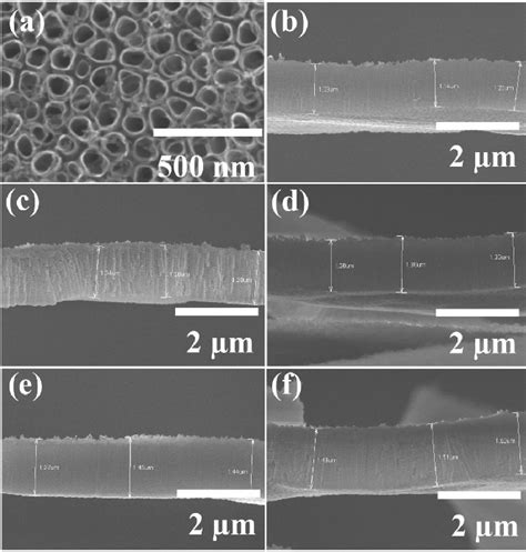 Top And Cross Sectional View Of Tio 2 Nanotubes A Typical Top