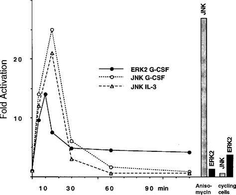 Figure From Mitogen Activated Protein Kinase Pathway Ras Dependent