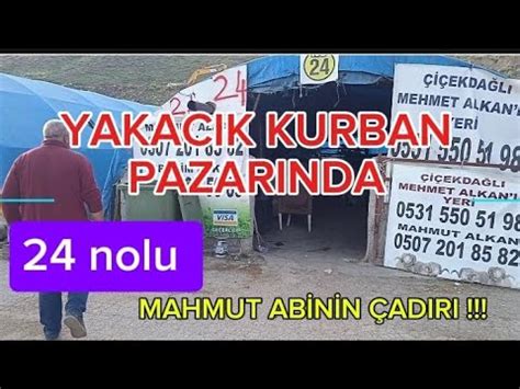 24 NOLU YAKACIK KURBAN ÇADIRI 2024 Kurbanlık Fiyatları YouTube