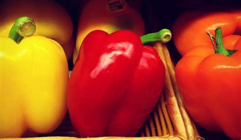 Capsicum Farming In Kenya