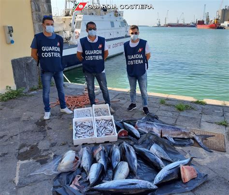 Pescheria Blitz Della Guardia Costiera Sequestrati Kg Di Pesce