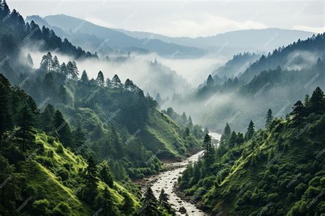 Premium Photo | Misty path in foggy forest landscape wallpaper