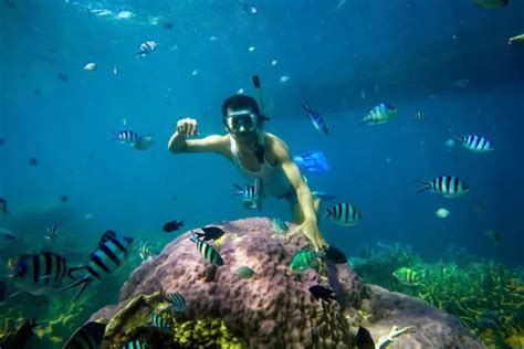 4 Spot Terbaik Untuk Diving Dan Snorkeling Di Indonesia Indozone Travel