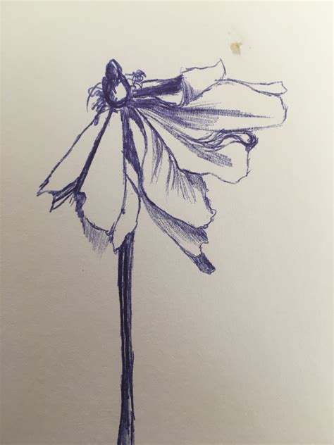 Dead Flower Drawing at GetDrawings | Free download