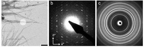 23 A Tem Image Of V Amylose Complexed With 4 Hydroxybenzoic Acid