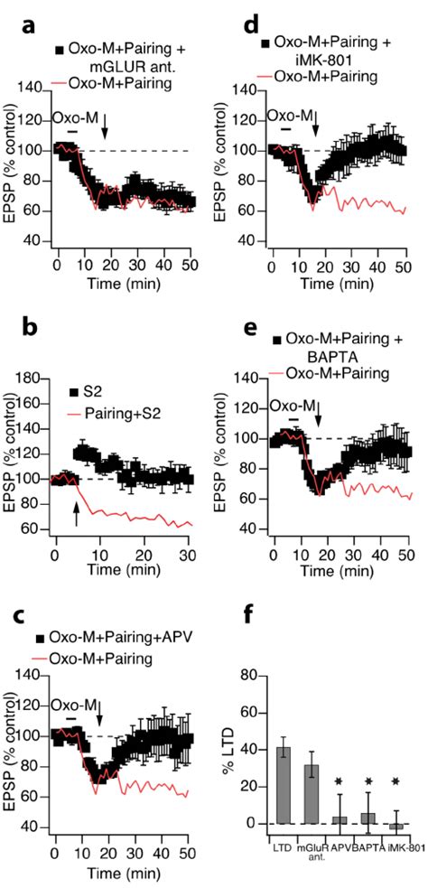 Postsynaptic Activation Of Nmdars And Rises In Postsynaptic Ca Are