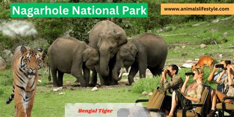 Nagarhole National Park Safari Karnataka, Entry Fee,Timings