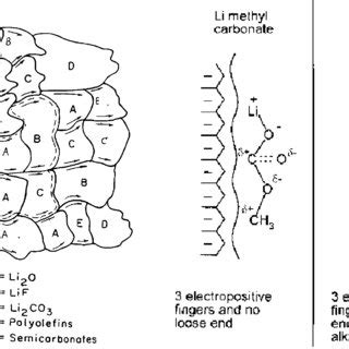 Schematic Illustration Of The Sei Formation Mechanism Via The