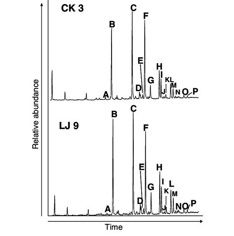 Representative M Z Mass Chromatograms Showing The Distributions Of