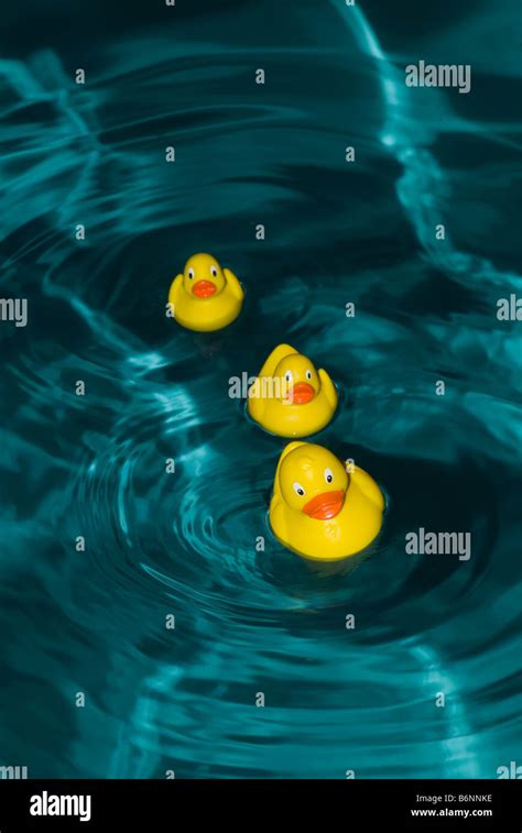 rubber ducks in deep water Stock Photo - Alamy