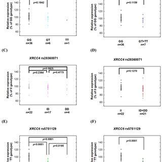 Protein Expression Levels Of Xrcc And Xrcc In Adjacent Normal Tissues