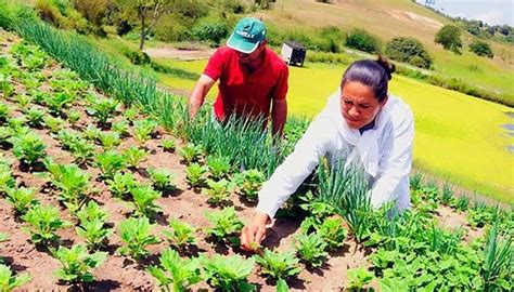 El Reto Una Agricultura Sustentable Productiva E Inclusiva Noticias