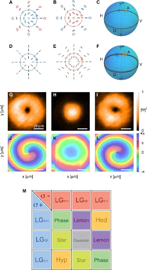 Figure 1 From Twist Of Generalized Skyrmions And Spin Vortices In A