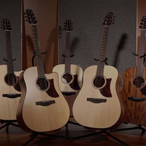 ACOUSTIC GUITARS | PRODUCTS | Ibanez guitars