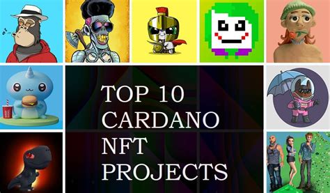 Best Cardano NFT Projects With Collection In 2023 Nftcrypto Io