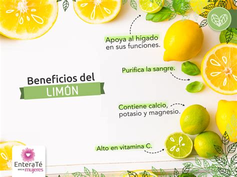 El limón es un fruto curativo y delicioso que puedes incluir en muchas